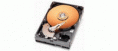 WESTERN DIGITAL 320GB 16MB